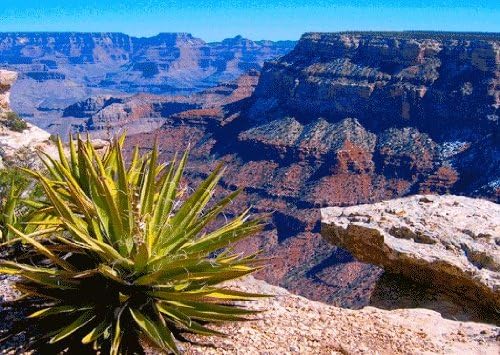 Miniatura 3 de Arizona-3D - Juego de postales lenticulares (3 unidades)