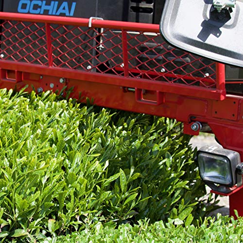 Locatis 赤堀商店 大きなティーバッグ濃い深むし茶宇治抹茶入り