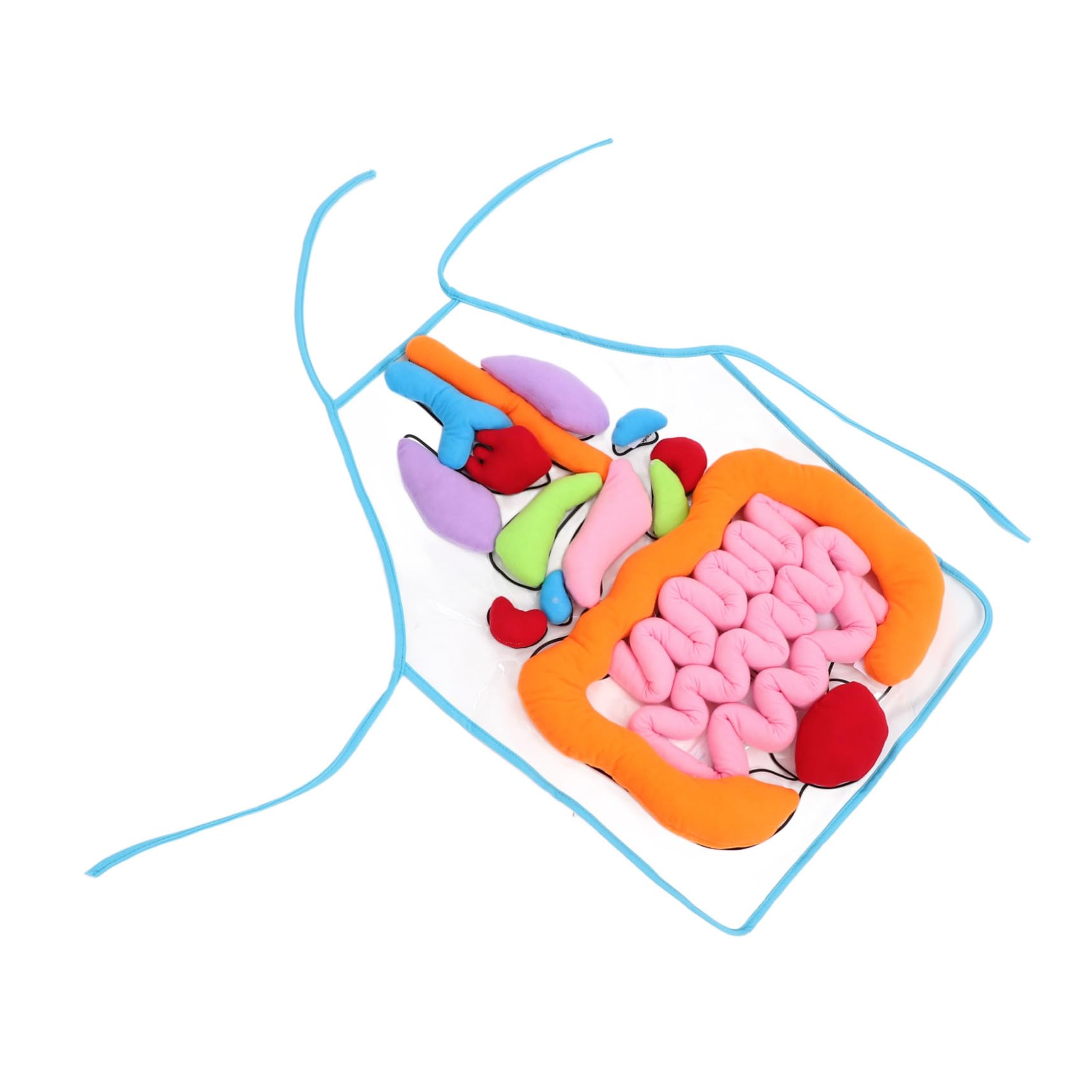 Uonlytech Delantal Educativo en 3D Material Didáctico de Poliéster y Felpa de Órganos del Cuerpo Humano para Niños Adecuado para Jardín de Infancia y Aprendizaje en Casa