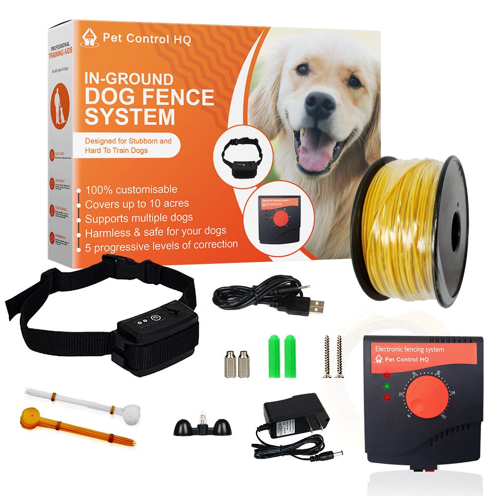 Is An Electric Fence Safe For Dogs