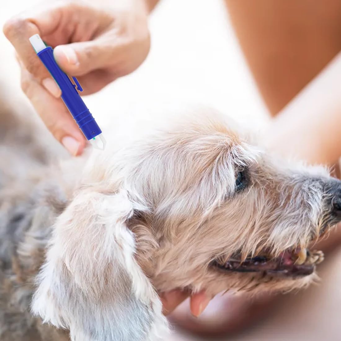 Lot de 5 Pinces à tiques avec étui - Pince pour Chats et Chiens - Tire Tique Humain, Anti Tique Chien et Chat - Protection Contre Les Animaux Domestiques et Les Enfants - Crochet à tiques