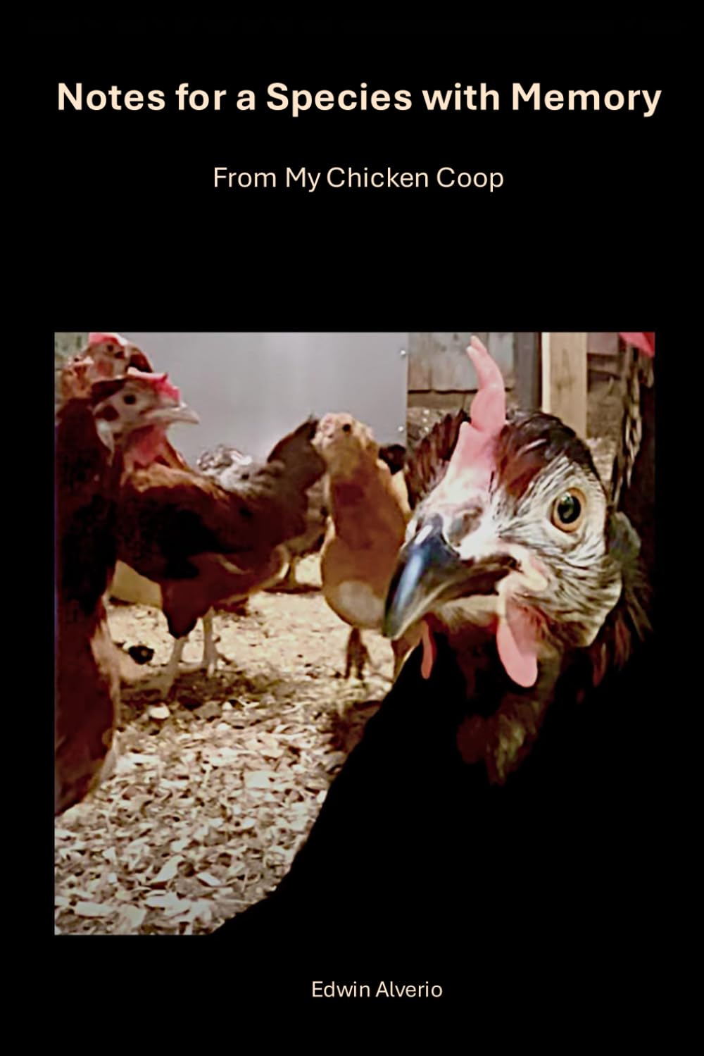 Notes for a Species with Memory: From My Chicken Coop