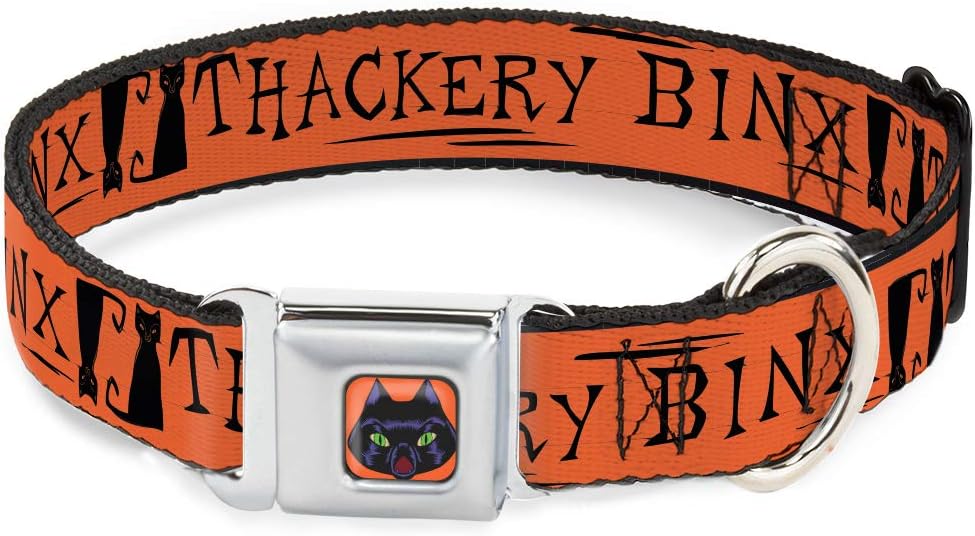 Buckle-Down Dog Collar Seatbelt Buckle Hocus Pocus Thackery Binx Cat Silhouette Orange Black 11 to 16.5 Inches 1.0 Inch Wide,DC-SB-DYAPQ-WDY780-1.0-M