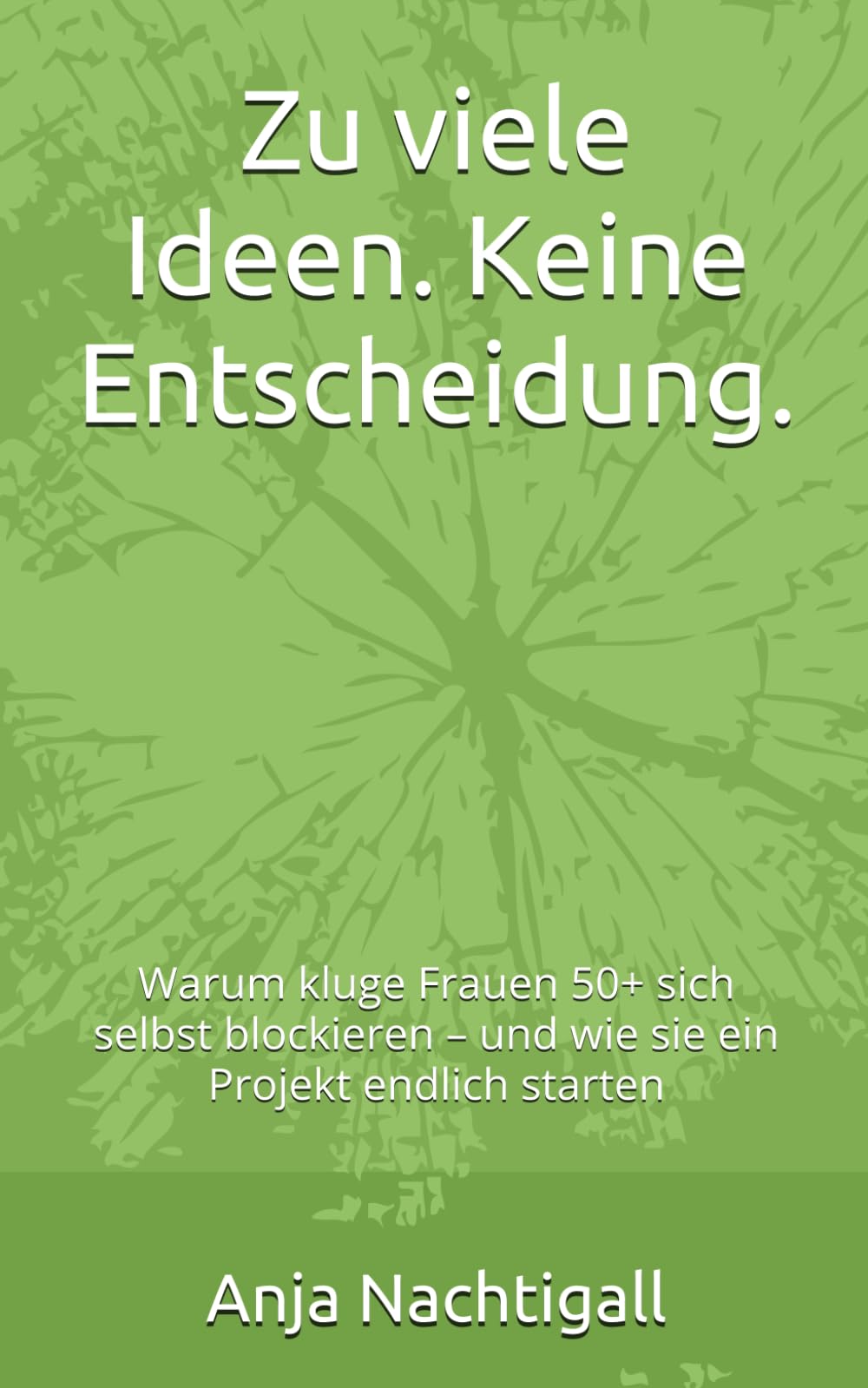 Zu viele Ideen. Keine Entscheidung.: Warum kluge Frauen 50+ sich selbst blockieren – und wie sie ein Projekt endlich starten