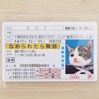 お値下げ交渉可能です。なめ猫　免許証 お値下げ交渉可能です。なめ猫 免許証 お値下げ交渉可能です。なめ猫