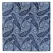 Retreez 5 Piece Assorted Woven Microfiber Premium Pocket Square Gift Box Set - Set 006