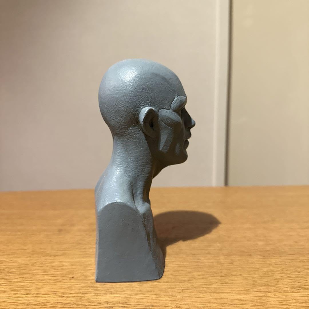 Amazon.co.jp: 西洋人男性モデル 片桐裕司 アナトミー 胸像 海洋堂