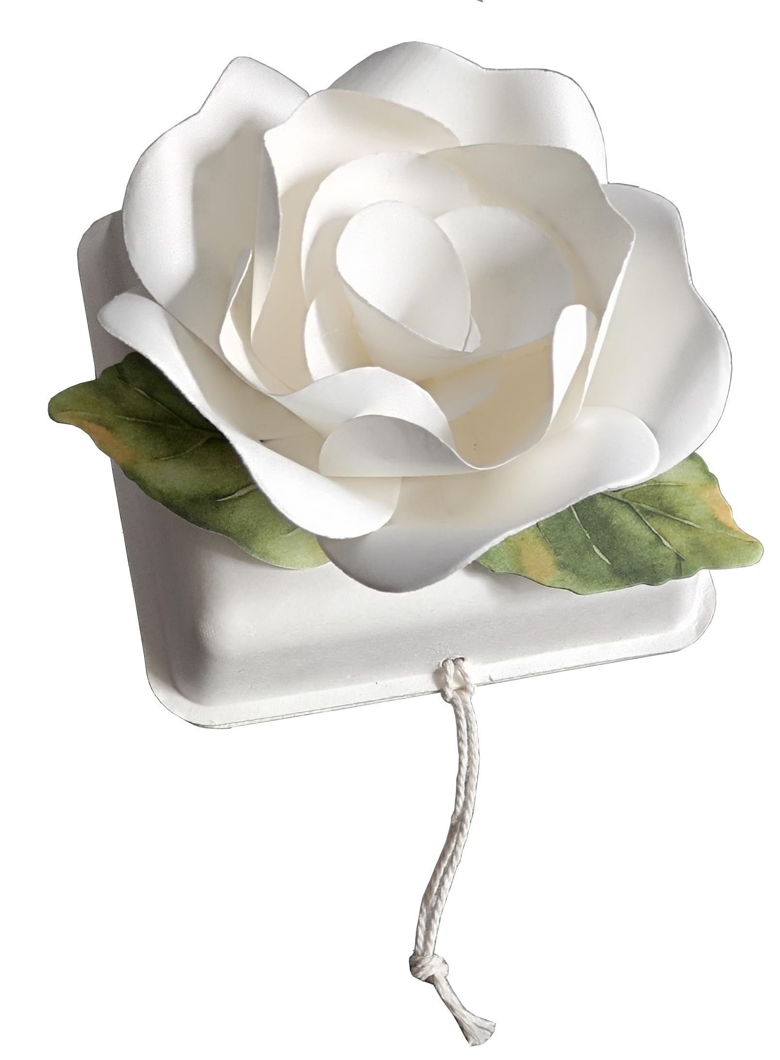 Chengxinwenhua White Biodegradable Urn Eco Cremation Urns Ocean Water Burial Scattering Floating Urn For Human Ashes (Small)