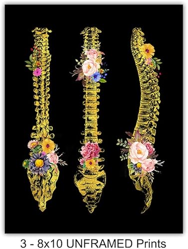 Miniatura 3 de Hand, Foot, Spine Medical Anatomy Wall Art Print - Unique Flower Skeleton - Original Gothic Home Decor for Dr Office - Gift for Doctor, Physician,