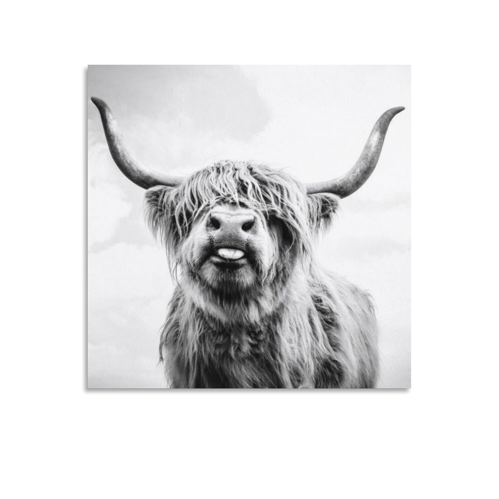 Black And White Cow, Animal Wall Art Canvas Print, Cow Lovers Decor, Kids Bedroom Pet Room Living Ro Gifts Canvas Painting Poster Wall Art Decorative Picture Prints Modern Decor Framed-unframed 24x24i