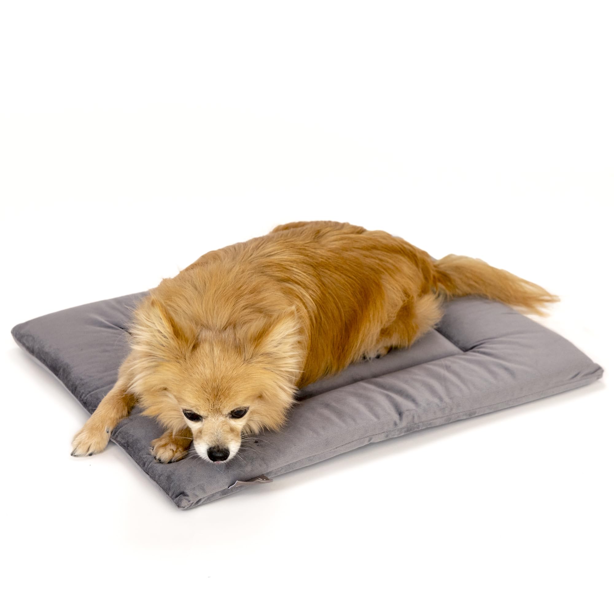 KindTail Dog Crate Pad - Soft Velvet, Reversible Bed - Machine Washable Kennel Mat for Pets up to 15 lbs, Mattress for Cozy Sleeping - 20” x 15” x 1” (Dark Grey, Small)