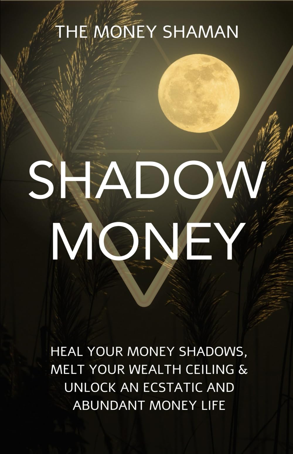 Shadow Money: Heal Your Money Shadows, Melt Your Wealth Ceiling & Unlock an Ecstatic and Abundant Money Life (The Awakened Money Series)