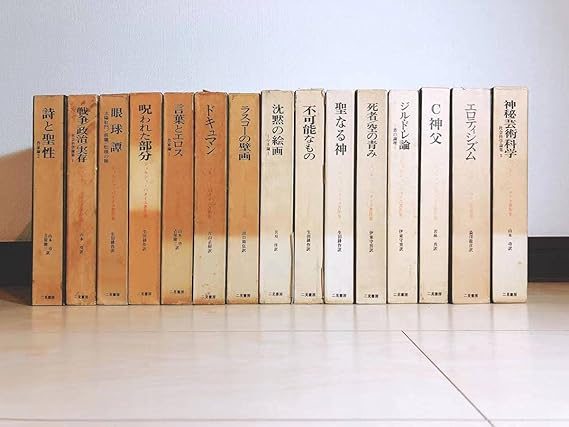 ジョルジュ・バタイユ著作集 全15巻揃 仏文学 | tspea.org