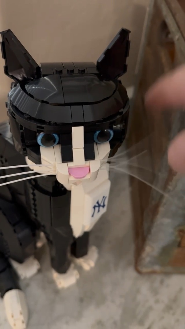 Amazon.com: Whiskers for Lego® 21349 Ideas Tuxedo Cat Snap-in