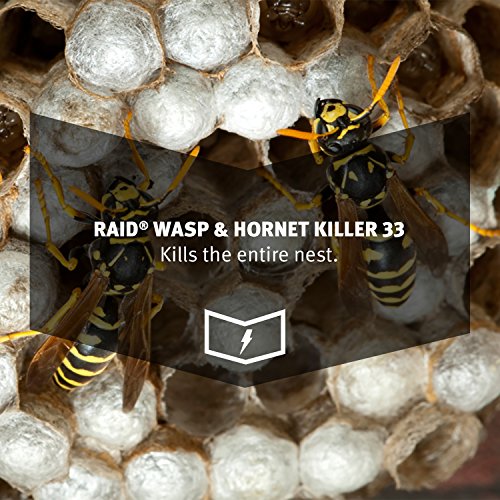 Raid Wasp And Hornet Killer, 17.5 Oz (Pack Of 3) #TOP4