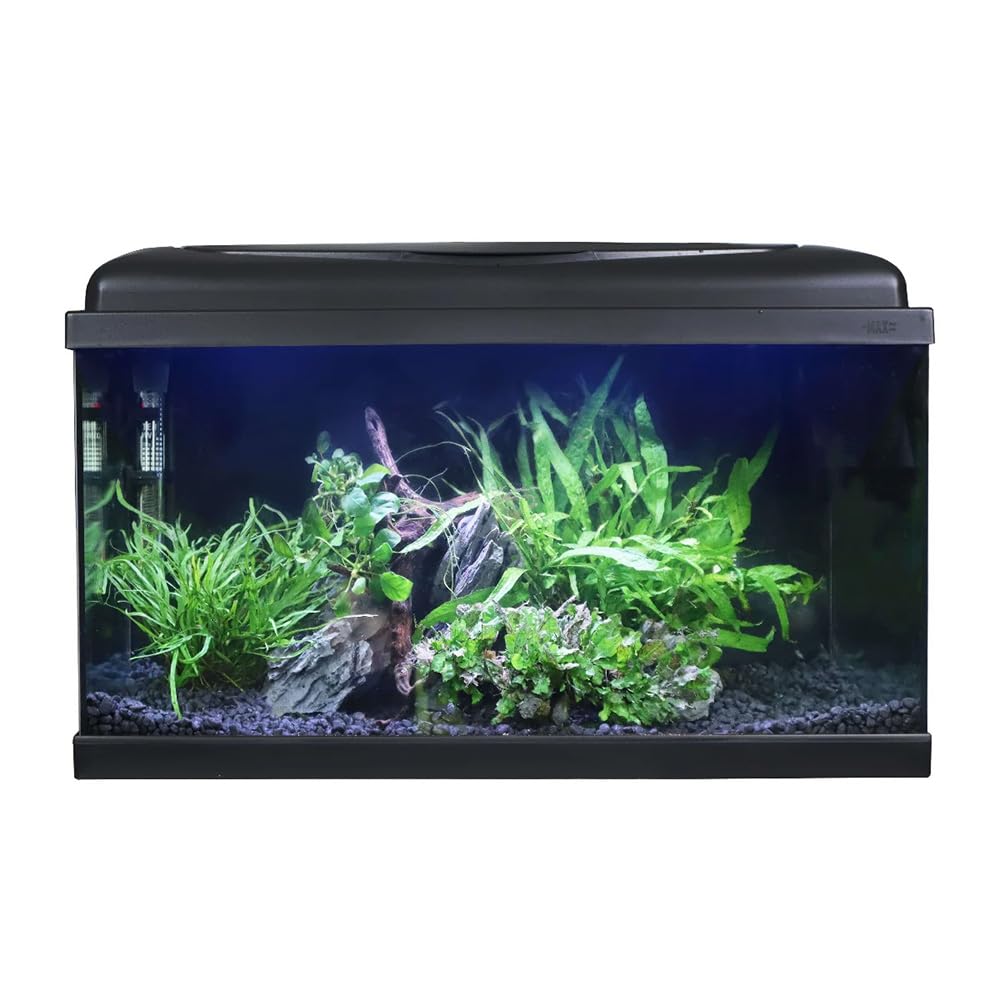 Swell Aquarium 60cm Tropical Freshwater LED Fish Tank Kit 54ltrs