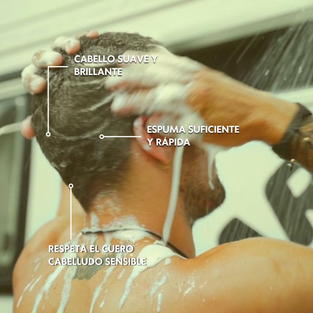 Beardburys Essentials | Pack 2 Champú Refrescante para Hombre Uso Diario, Apto para Cabello Graso, Limpia y Purifica el Cabello, Sin Parabenos ni Siliconas - 250ml
