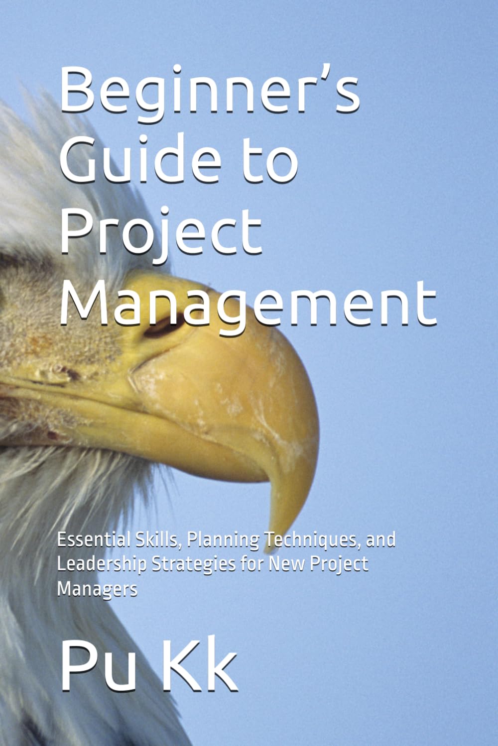 Beginner’s Guide to Project Management: Essential Skills, Planning Techniques, and Leadership Strategies for New Project Managers