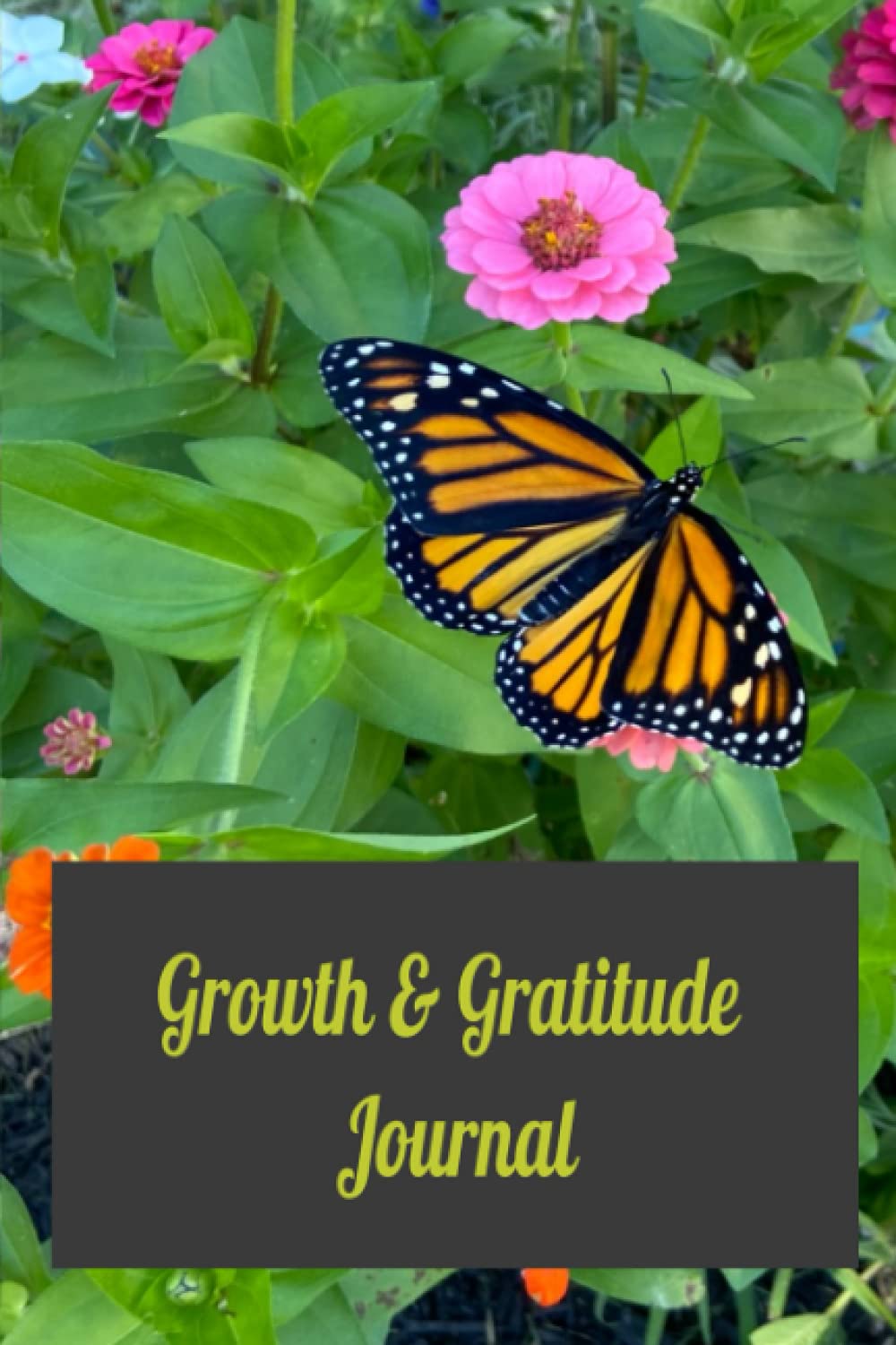 Journal for Gratitude and Growth