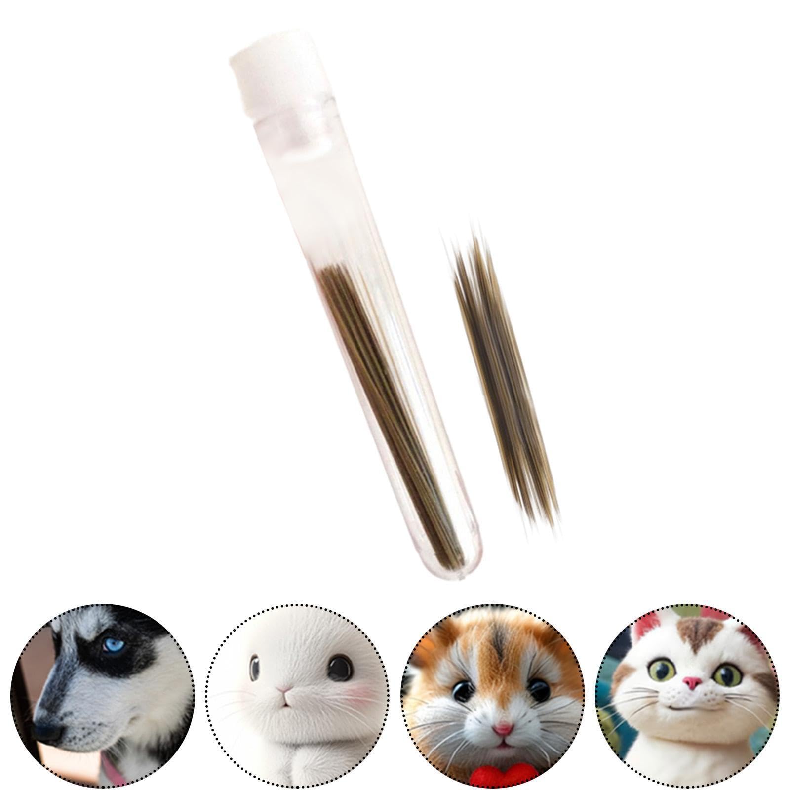 ひげ付きグレーュ猫、テディベア 【公式通販】