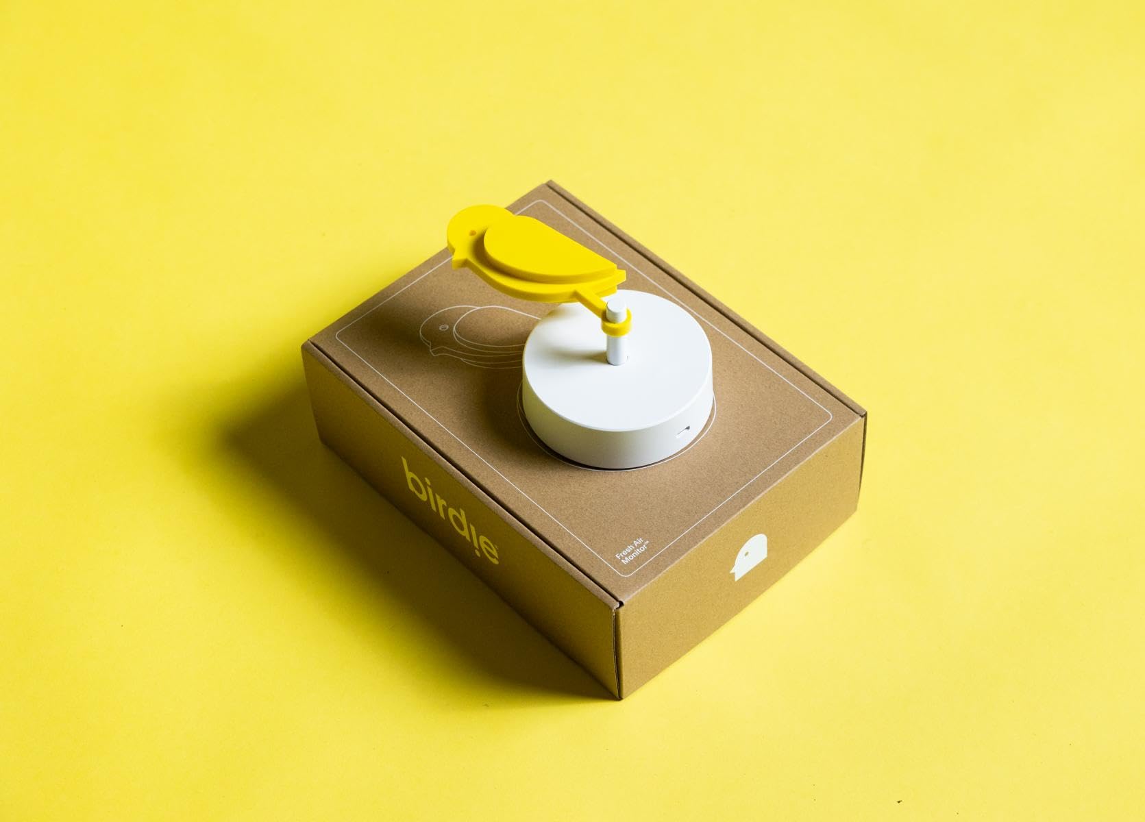 Birdie - Monitor dell'aria fresca con sensore CO2 (Ghiacciaio)