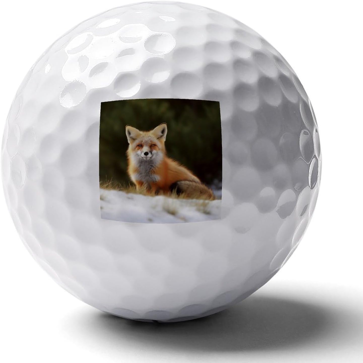 Funny Fox Golf Balls Golf Balls for Men Golf Ball Bulk Callaway Golf Balls Range Golf Balls Best Golfballs for Women Distance Golf Balls Golf Accessories