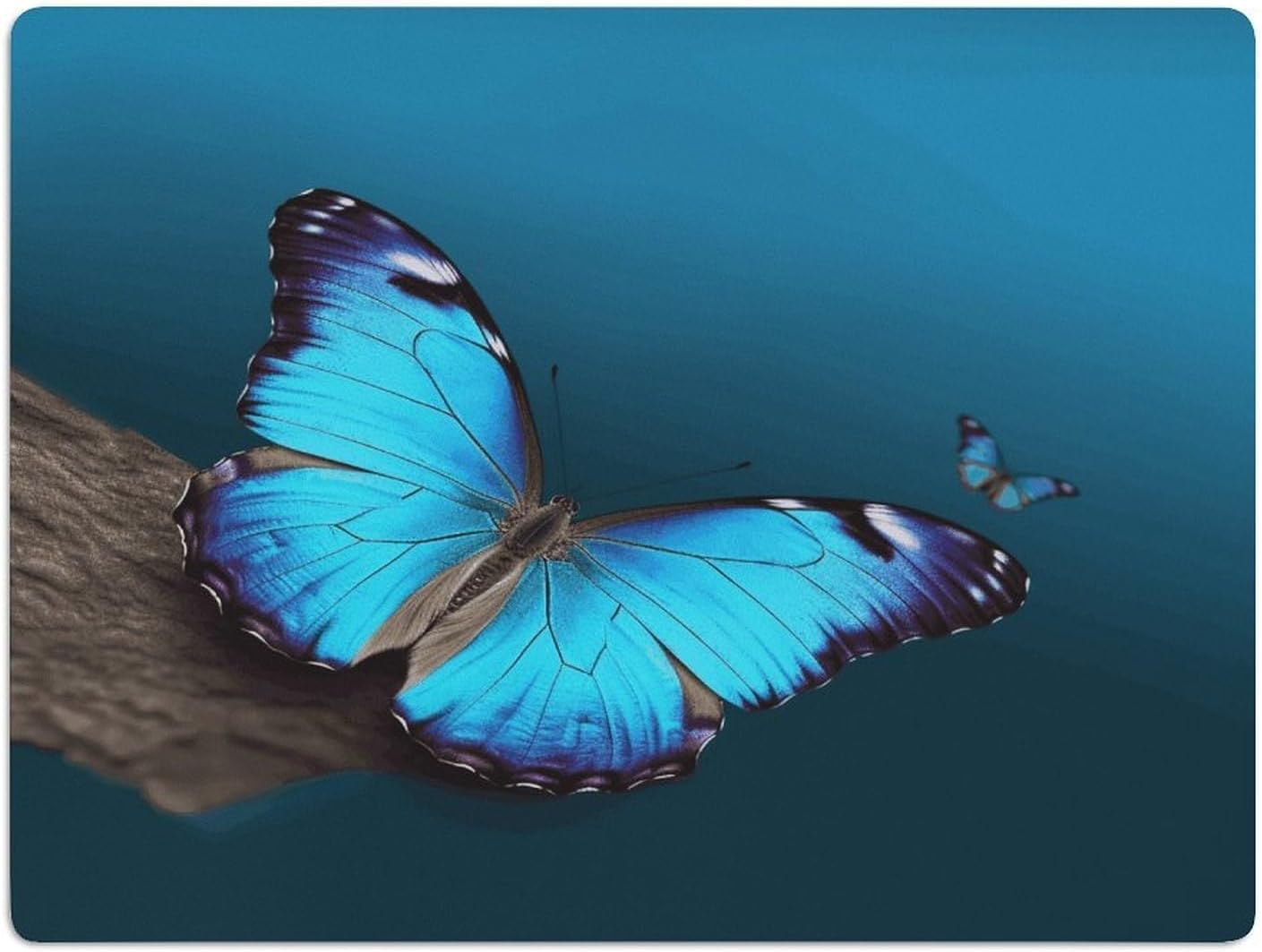 Beautiful Blue Butterfly Drying Mat for Kitchen Counter 30x40 inch, Diatomite Dish Drying Mat, Non-Slip, Absorbent Dish Drainer Pad for Coffee & Utensils, Kitchen Decor Mats