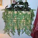 Review Image by JJ W.