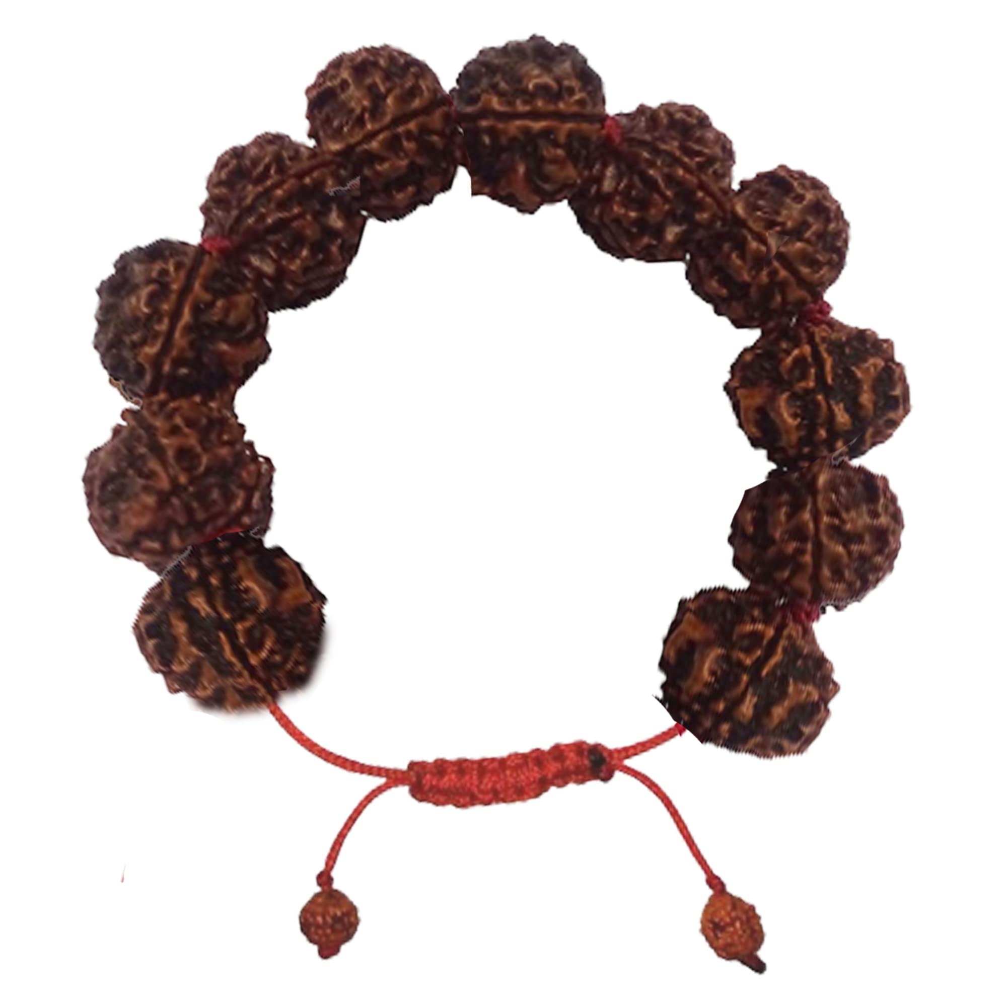 GGE FASHION HUB Original 5 Mukhi Rudraksh Bracelet 5 Face RudrakshaBracelet (17-20mm) for Men and Women Adjustable Band (B0C2HQRMGQ) Amazon Price History, Amazon Price Tracker