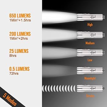 RovyVon ロビーボン 小型ライト チタン製 新品 未使用Aurora Aurora A4 USB-Cチタンキーホルダー懐中電灯（第3世代） – RovyVon
