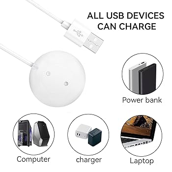 Amazon.com: Magnetic Charger for Rose Massagers USB Charging