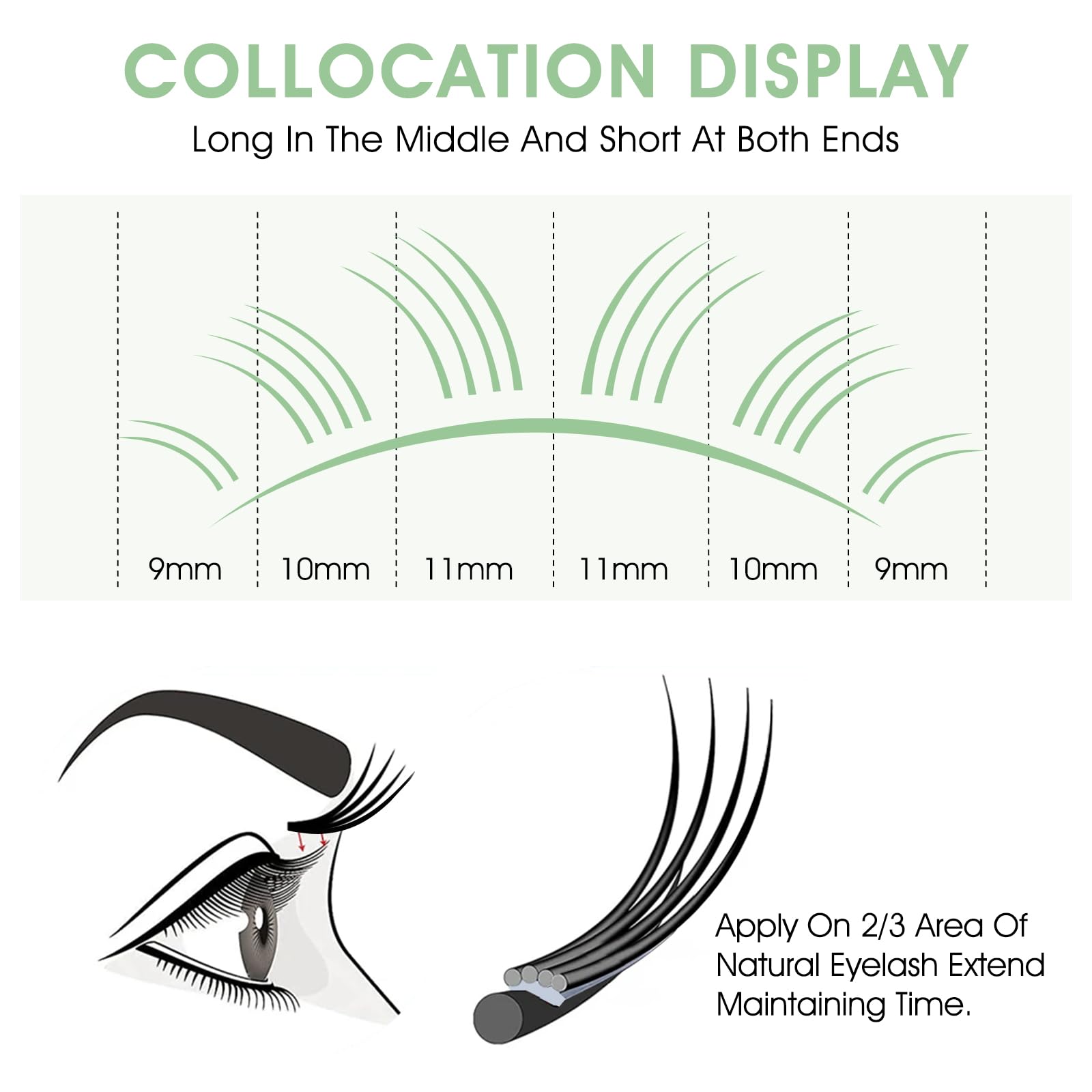 NATUHANA W Shaped Clover Eyelash Extension 4D Premade Fans 0.07mm D Curl 9mm Single Size Tray Volume Lash Cluster W Lash Extensions (9mm, 4D black;0.07 D)