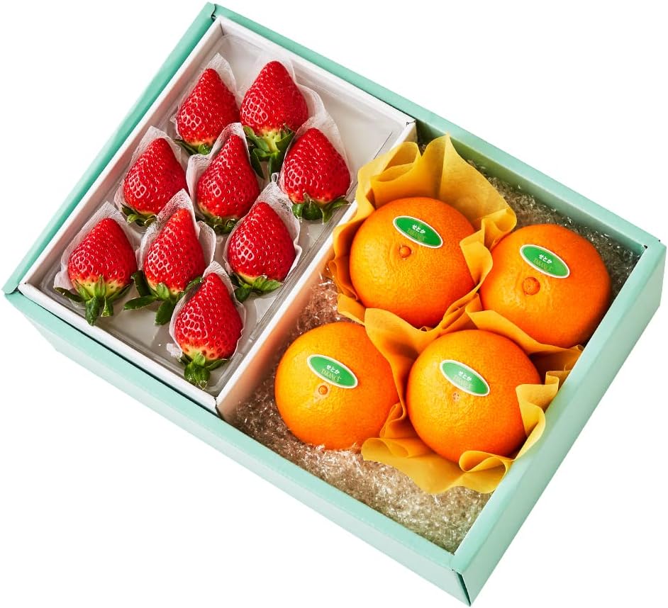 ★超希少★ロイコペ フローラダニカ フルーツサービス 超 ロイコペ フローラダニカ フルーツサービス 最高傑作】1級品