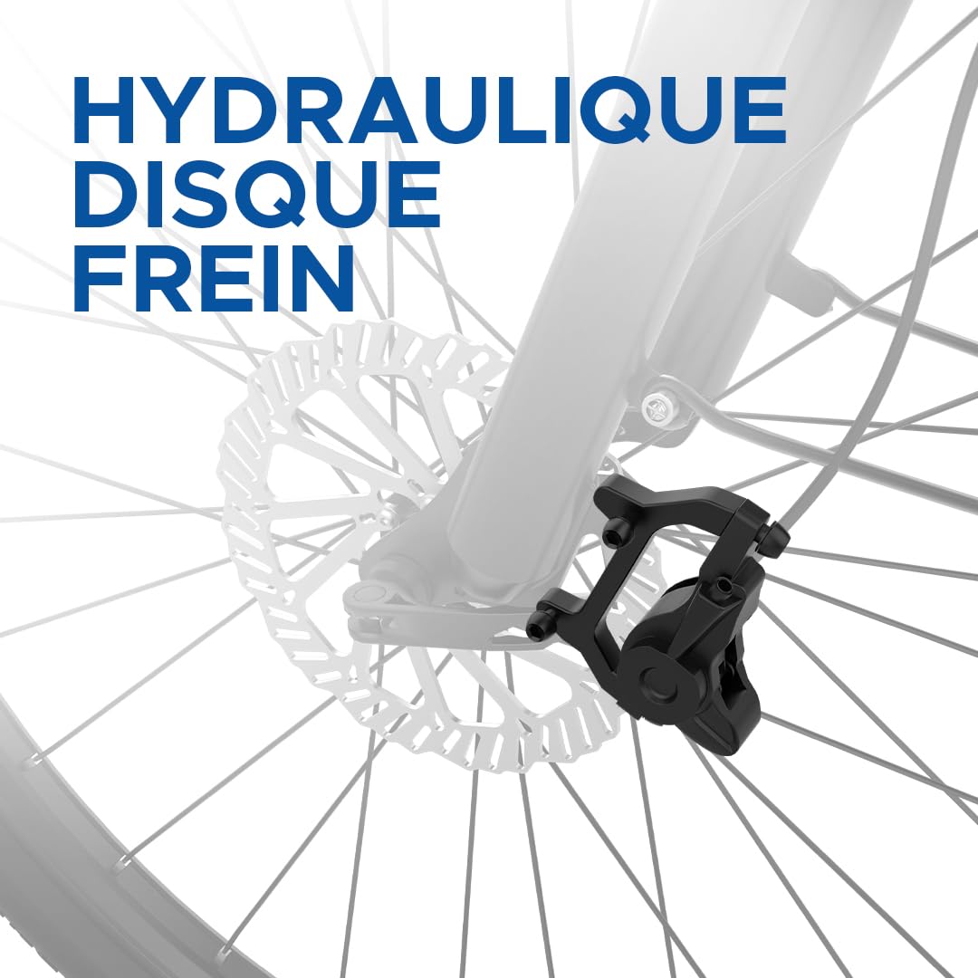 EMotorad T-Rex Air | Vélo Électrique Tout-Terrain pour Adultes | Pneus 29x2.4" | Moteur 36V 250W | Batterie Amovible 13Ah | Suspension Avant 100mm | Freins à Disque Mécaniques