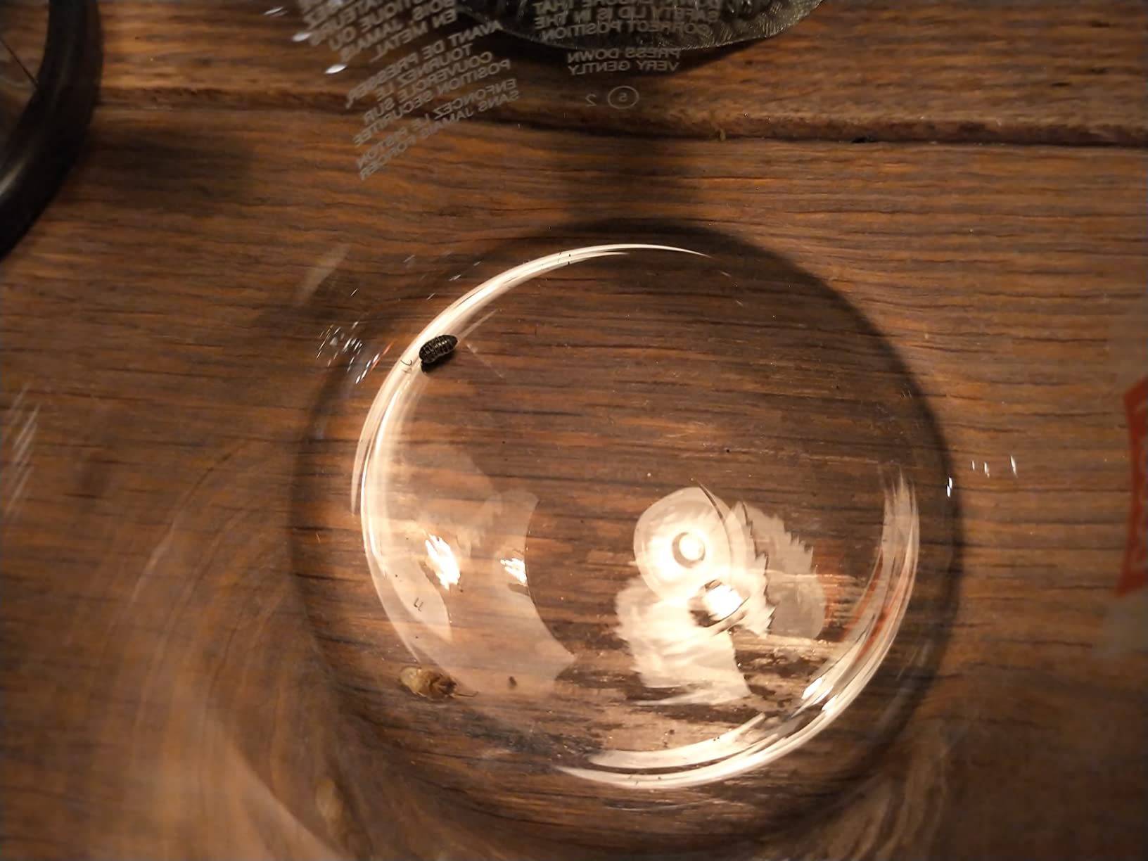 お客様イメージ