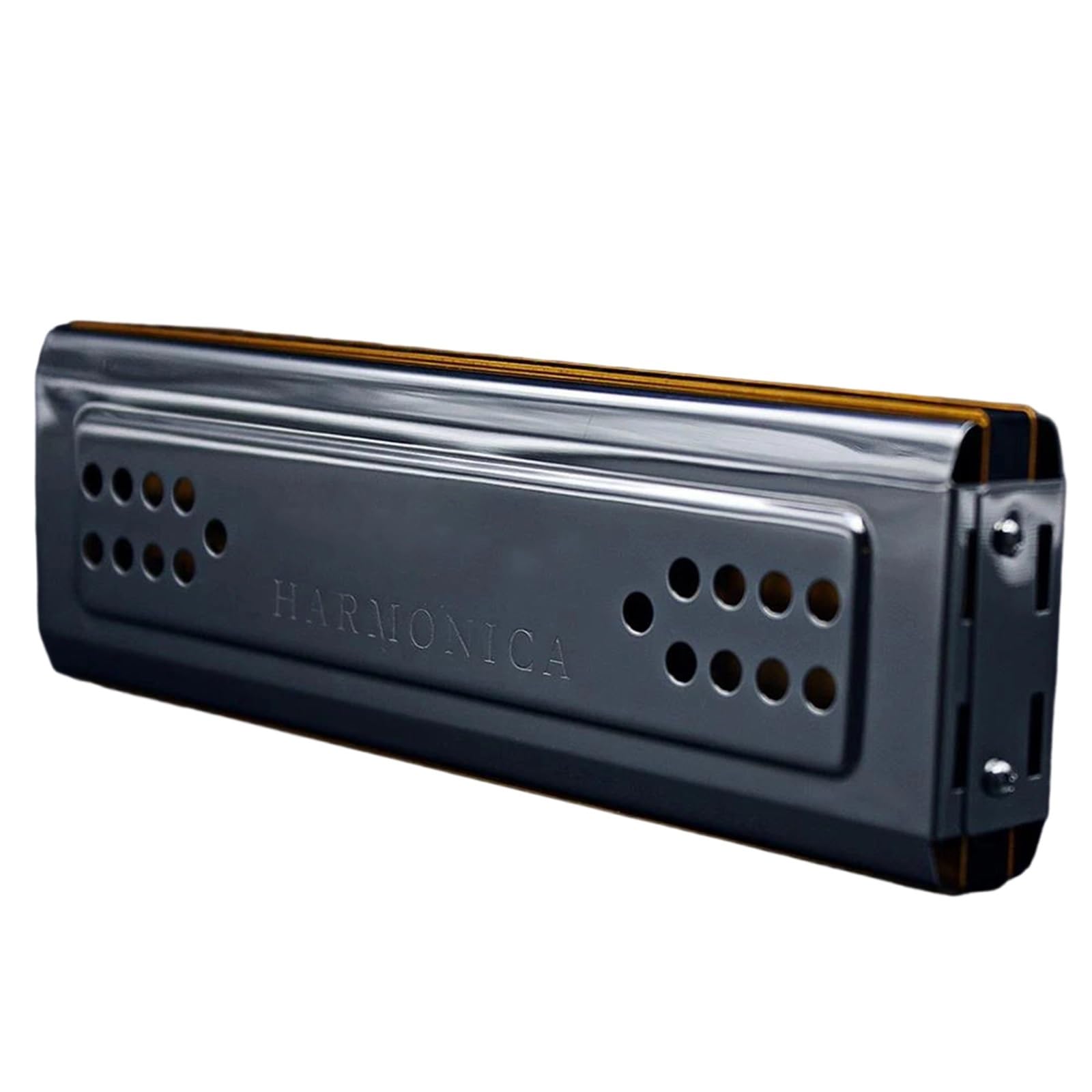 Mundharmonika Mundharmonika 24 Löcher Tremolo Polyphone Doppelseitige C/G-Taste