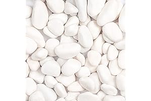 11lbs White Natural River Rocks | Decorative Pebbles for Landscaping & More