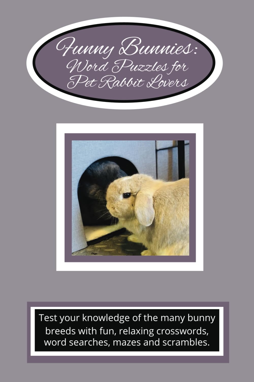 Funny Bunnies: Word Puzzles for Pet Rabbit Lovers