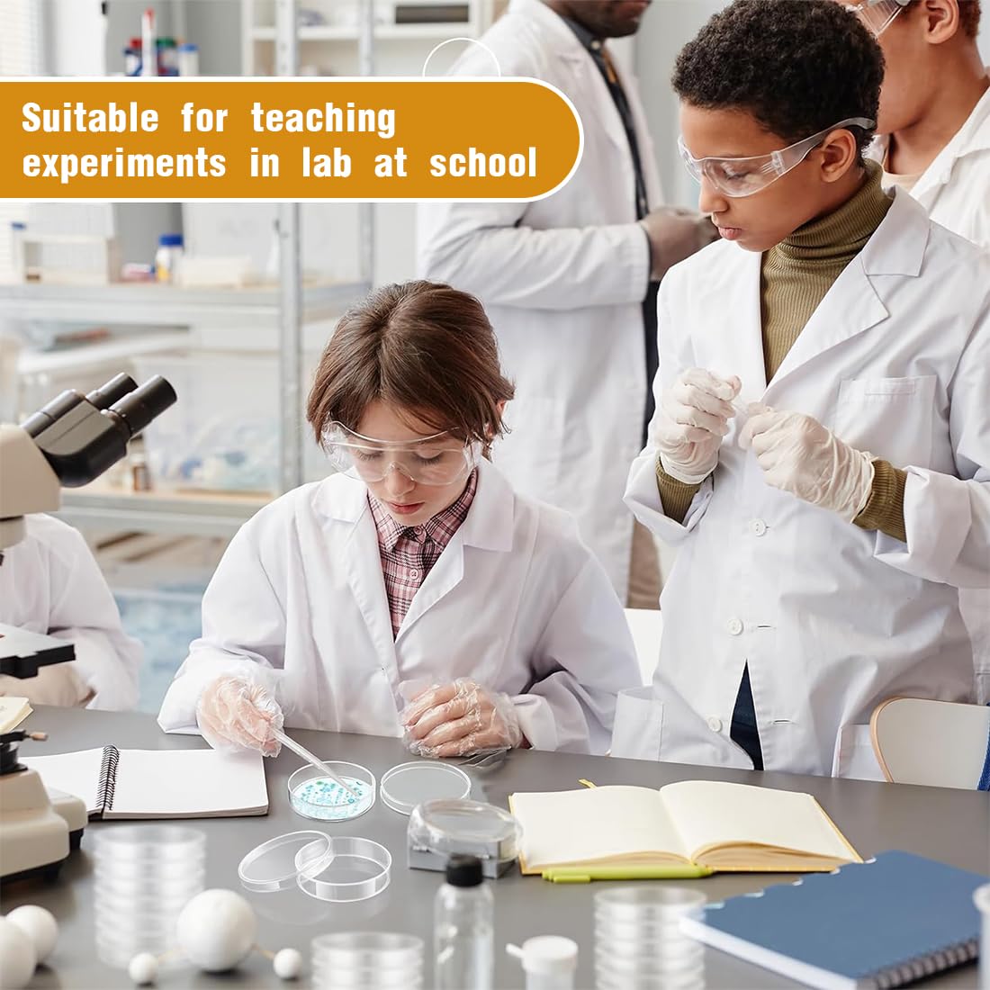 6 Pezzi Plastica Petri piatto, Plastica Petri Piatto con Coperchio Sterile, Plastica di Petri con Coperchio, Piastre di Petri Trasparente, Per Laboratorio Esperimento Biologia Studi