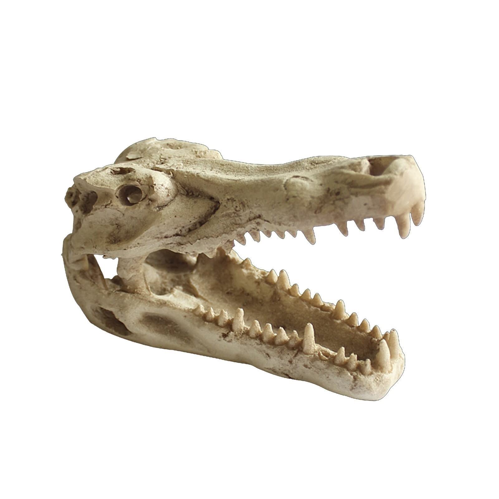 Amazon Co Jp 爬虫類の餌箱 休憩所 カメレオン 生息地の装飾 トカゲ亀 繁殖ボックス シェルター 水族館 樹脂 ペット 隠れ家 ペット用品