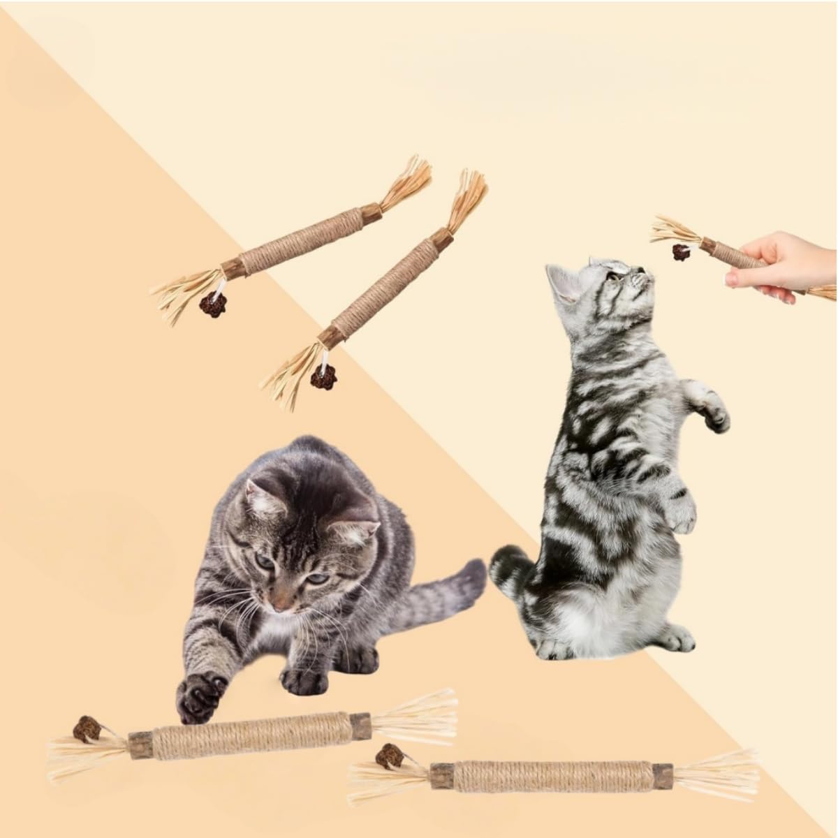 Juguetes para Masticar para Gatos,6 Piezas Palitos Masticables Naturales,para Limpieza Dental e Higiene Bucal,Juguetes Interactivos para Gatitos y Gatos Adultos