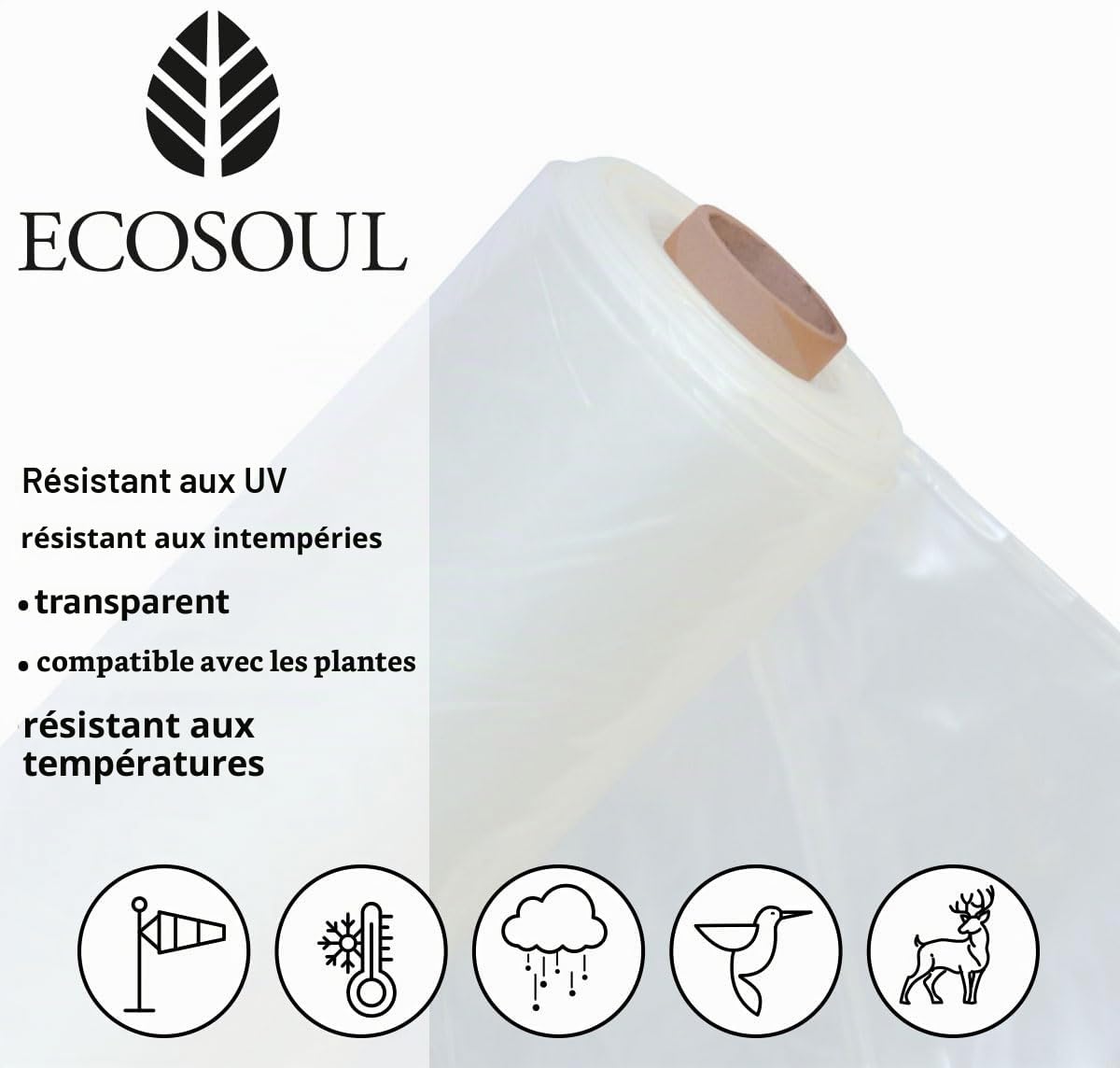 UV5 Film de serre tunnel 6 m de large résistant aux UV 200 µm (0,2 mm d'épaisseur) Qualité professionnelle Longueur : 3 m Transparent