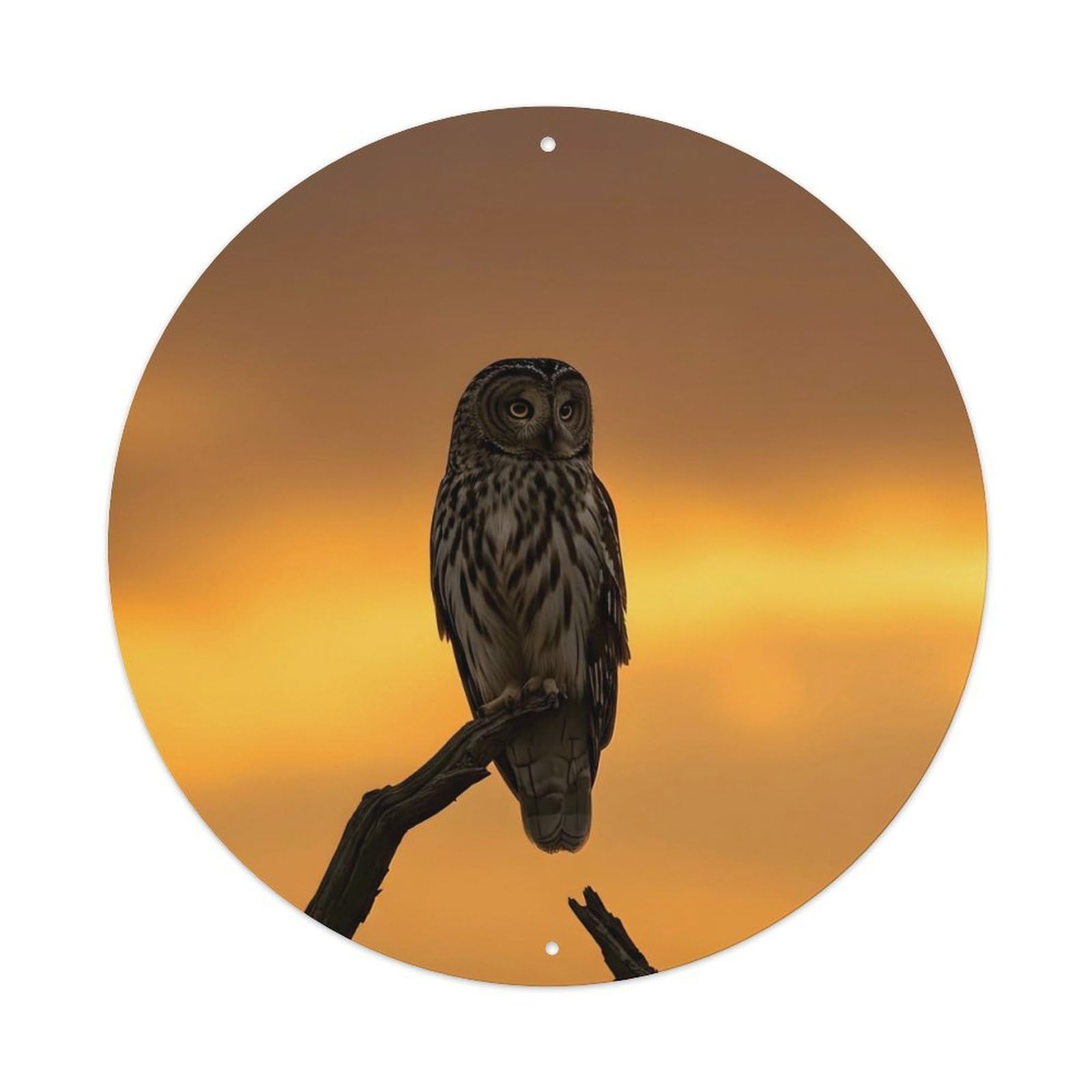 Cwbufd Vintage Style Animal Short-Eared Owl In Golden Sunset Wildlife Photography Vintage Metal Tin Sign Plaque Wall Decor For Cafe, Club Bar, Office, Garden Metal Poster 8X8inch