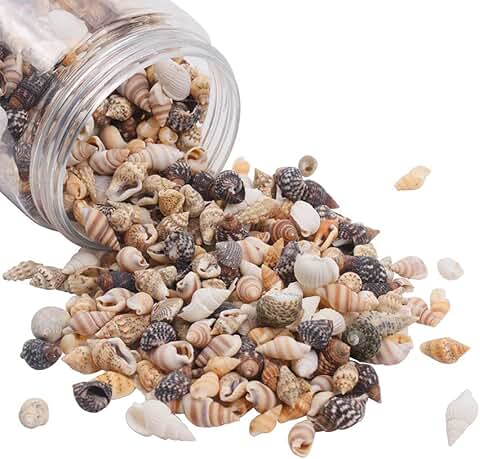 Amazon.co.uk: shells