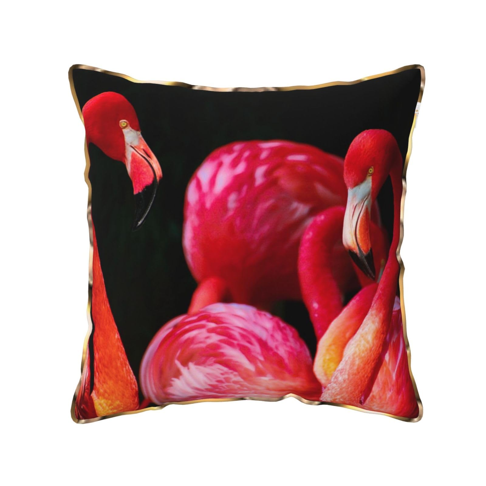 FZGGWYHL flamingos in black background printed Velvet Throw Pillow Cover Pillowcase