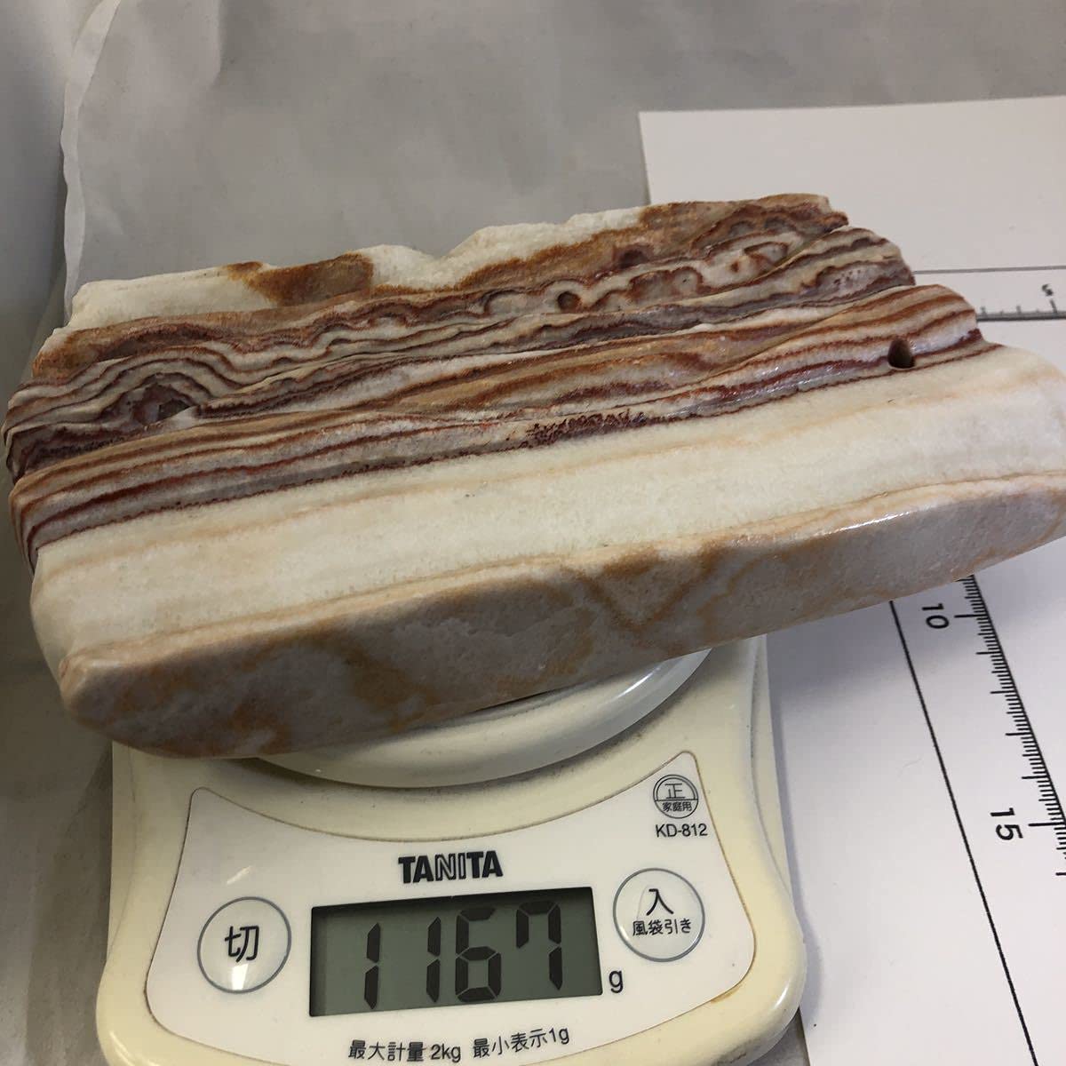 Amazon.co.jp: 商品NO:20672 豚肉石 猪肉石 ポークストーン カルサイト