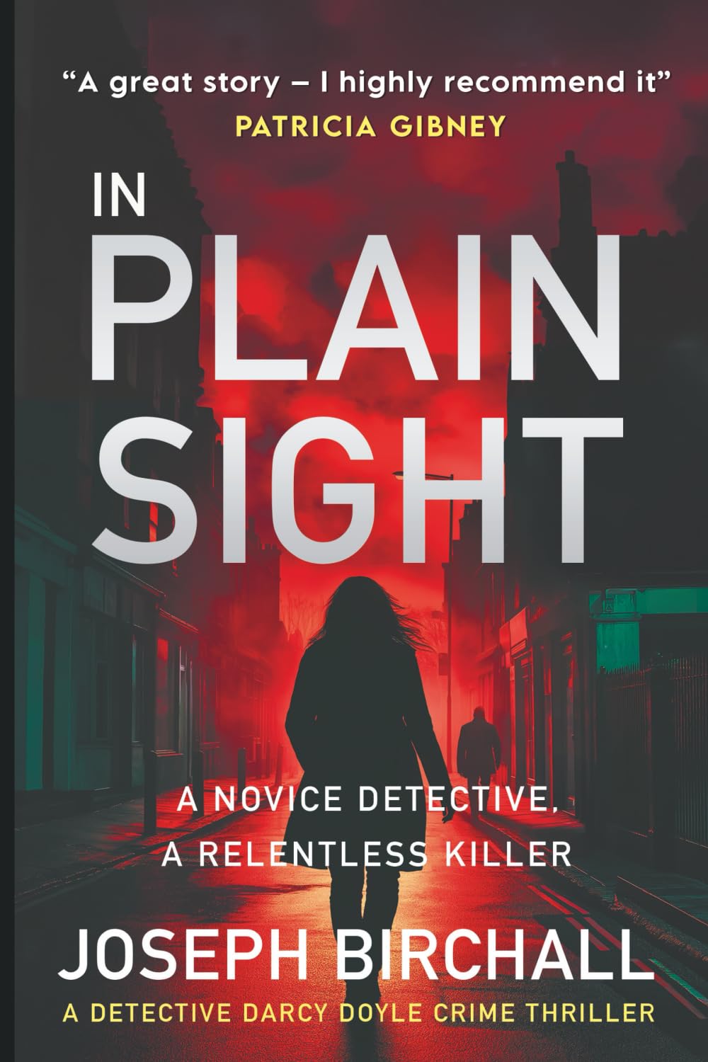 In Plain Sight: A Dark and Atmospheric Irish Murder Mystery That Will Keep You Guessing