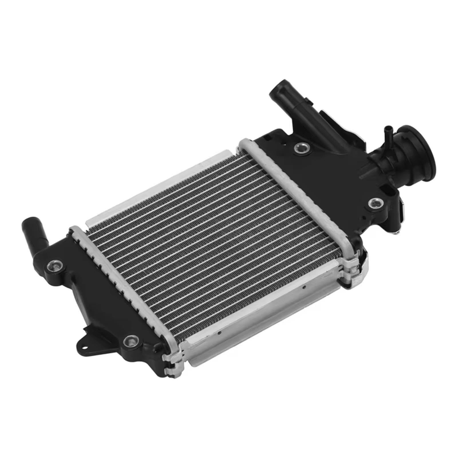 Serbatoio Espansione Liquido Raffreddamento Moto Per PCX150 2018-2020