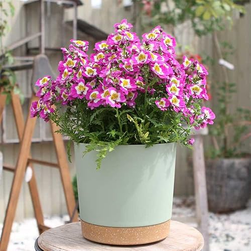 Miniatura 5 de ZMTECH Juego de 3 macetas de plástico de riego automático de 8 pulgadas con orificio de drenaje y platillo, maceta decorativa moderna para plantas