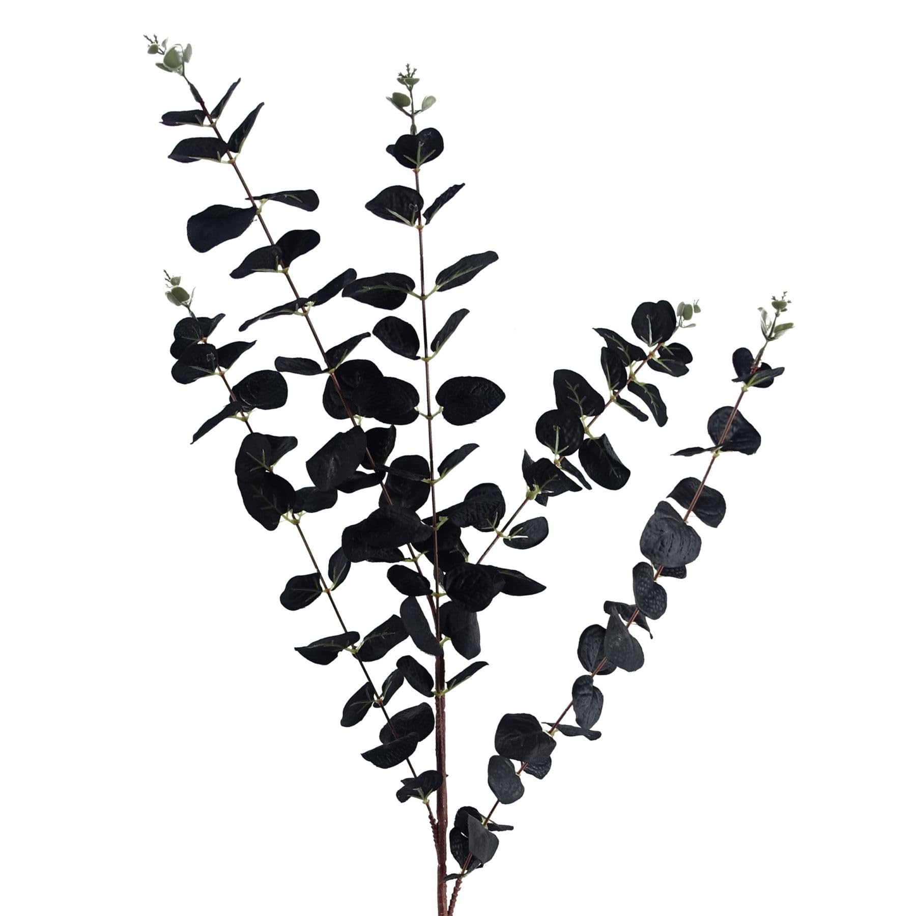 Leaf 80Cm Black Eucalyptus Foliage Stem from B&Q